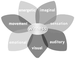 WITNESS IMAGINAL SENSATION AUDITORY VISUAL EMOTIONAL MOVEMENT ENERGETIC trademark