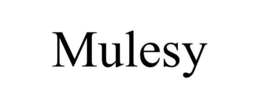 MULESY trademark
