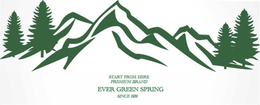 START FROM HERE PREMIUM BRAND EVER GREEN SPRING SINCE 1931 trademark