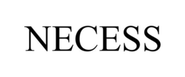 NECESS trademark
