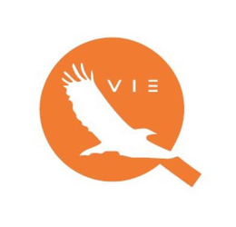 VIE trademark