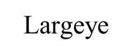 LARGEYE trademark