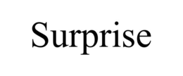 SURPRISE trademark