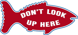 DON'T LOOK UP HERE trademark