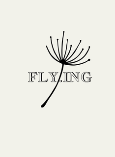 FLY.ING trademark