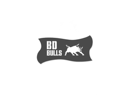 BD BULLS trademark