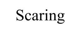 SCARING trademark