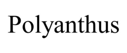 POLYANTHUS trademark