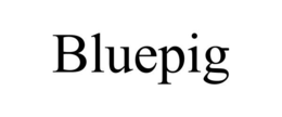 BLUEPIG trademark