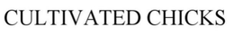CULTIVATED CHICKS trademark