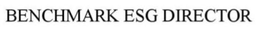 BENCHMARK ESG DIRECTOR trademark