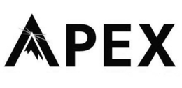 APEX trademark