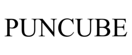 PUNCUBE trademark