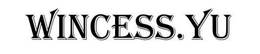 WINCESS.YU trademark
