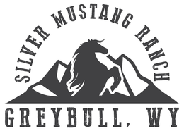 SILVER MUSTANG RANCH GREYBULL, WY trademark