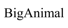 BIGANIMAL trademark