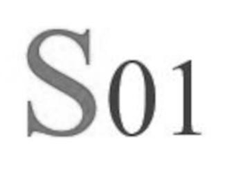 S01 trademark