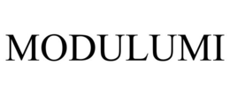MODULUMI trademark