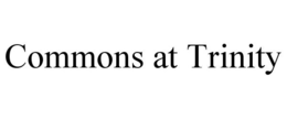 COMMONS AT TRINITY trademark