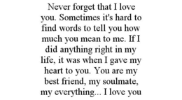 NEVER FORGET THAT I LOVE YOU. SOMETIMES IT'S HARD TO FIND WORDS TO TELL YOU HOW MUCH YOU MEAN TO ME. IF I DID ANYTHING RIGHT IN MY LIFE, IT WAS WHEN I GAVE MY HEART TO YOU. YOU ARE MY BEST FRIEND, MY SOULMATE, MY EVERYTHING... I LOVE YOU trademark
