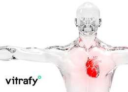 VITRAFY trademark