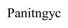 PANITNGYC trademark