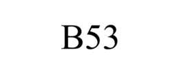 B53 trademark