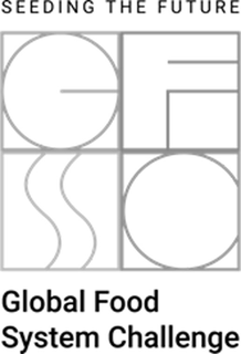 SEEDING THE FUTURE GFSO GLOBAL FOOD SYSTEM CHALLENGE trademark