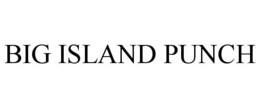 BIG ISLAND PUNCH trademark