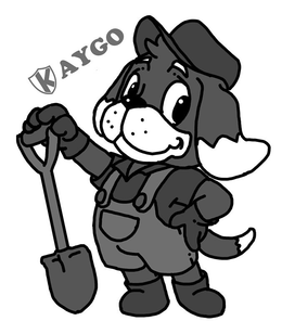 KAYGO trademark