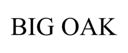 BIG OAK trademark