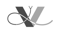 V trademark