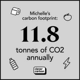 MICHELLE'S CARBON FOOTPRINT 11.8 TONNES OF CO2 ANNUALLY CLEVER CARBON trademark