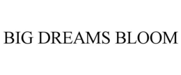 BIG DREAMS BLOOM trademark