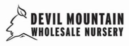 DEVIL MOUNTAIN WHOLESALE NURSERY trademark
