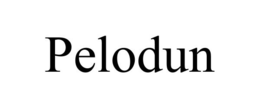 PELODUN trademark