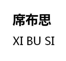 XI BU SI trademark