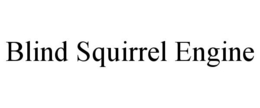 BLIND SQUIRREL ENGINE trademark