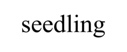 SEEDLING trademark