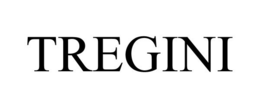 TREGINI trademark