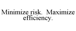 MINIMIZE RISK. MAXIMIZE EFFICIENCY. trademark