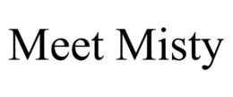 MEET MISTY trademark