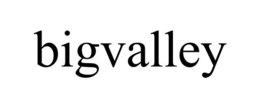 BIGVALLEY trademark