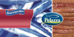 PELAZZA MARCHIO D'ORIGINE ITALIANO trademark