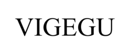 VIGEGU trademark