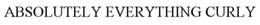 ABSOLUTELY EVERYTHING CURLY trademark