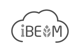 IBEAM trademark