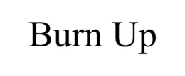 BURN UP trademark