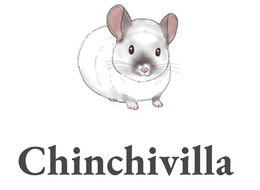 CHINCHIVILLA trademark