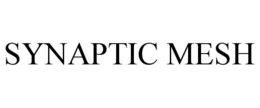 SYNAPTIC MESH trademark